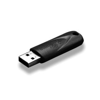 USB DONGLE KEY for RACE EVO and DS MANAGER